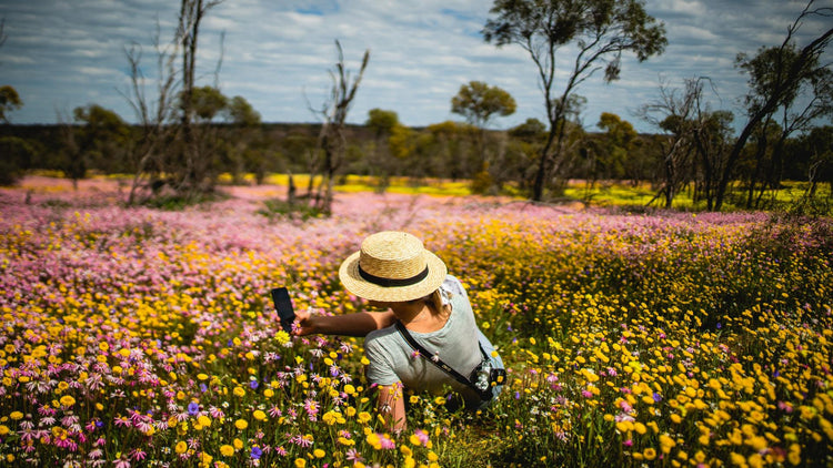 Spring Inaustraila Essential Tips for a Safe & Enjoyable Spring Season